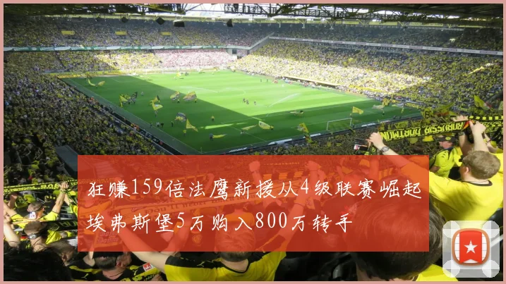狂赚159倍法鹰新援从4级联赛崛起埃弗斯堡5万购入800万转手