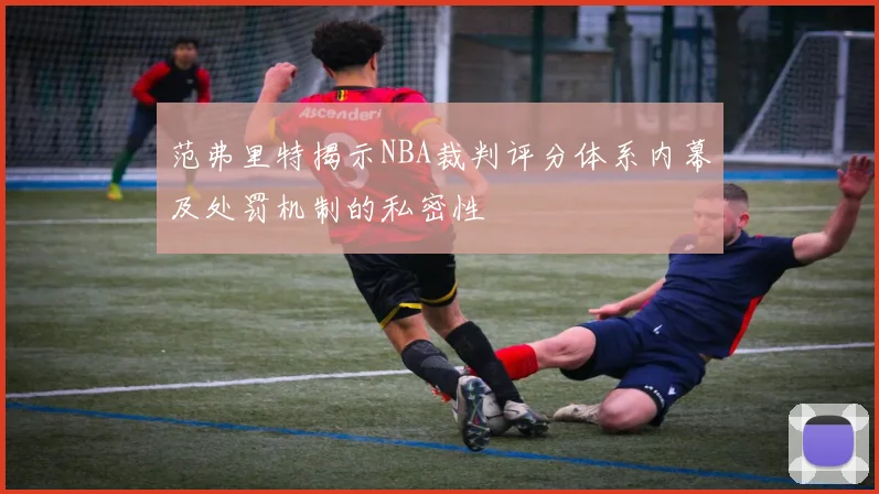 范弗里特揭示NBA裁判评分体系内幕及处罚机制的私密性