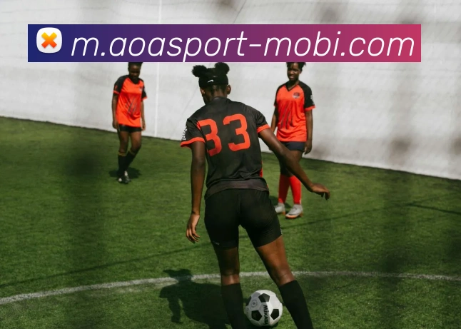 AOA体育平台生态图